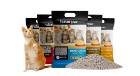 Cat Litter