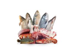 Meat & Fish