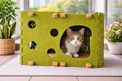Rectangular Foldable Cat House with Scratching Sanctuary