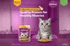 Whiskas Adult Cat Pouch Chicken in Gravy 80g - image 3