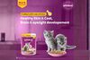 Whiskas Kitten Cat Pouch Chicken in Gravy 80g - image 3