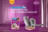 Whiskas Kitten Cat Pouch Tuna in Jelly 80g - image 3