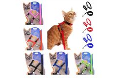 Adjustable Nylon Pet Cat Harness and Leash