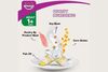 Whiskas Adult Dry Cat Food - Tuna Flavour 480g - image 5