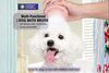 Pet Grooming Bathing Brush with Soap & Shampoo Dispenser Shower Brush for Dogs Cats - image 6
