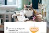 Happy Circle Triangle Cat Toy with Spring Feather - image 5