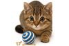 Sisal String Rattle Ball Toy for Indoor Cats - All Natural Woven Fibers - image 4