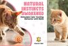 Sisal String Rattle Ball Toy for Indoor Cats - All Natural Woven Fibers - image 5