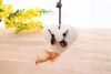 Cat Wooden Stick Teaser Toy – Burlap Mouse Shape with Feather - image 2