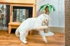 Cat Wooden Stick Teaser Toy – Sisal Ball with Feather - image 3