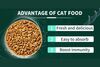 Gibo Grain Free Kitten Cat Food - Fish, Beef, Shrimp and Chicken 1.5kg - image 3