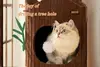 Multilayer Foldable Tree-Shaped Felt Cat House and Warm Cave Bed for Indoor Cats - image 5