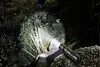 Rechargeable LED Flashlight with Telescopic Zoom & Power Bank Function - image 2