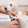Three-in-One Pet Grooming Comb Claw Clippers for Cats & Dogs - image 3