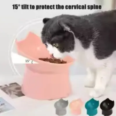 Elevated Cat Food Bowls - Cats & Dogs