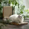 Cat Scratching Cardboard For Indoor Cats - image 4