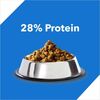 Drools Adult Dry Cat Food - Ocean Fish (3kg) - image 4