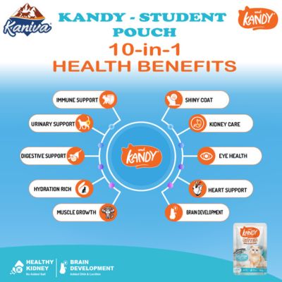 Kandy Kitten Pouch DHA & Lecithin with Salmon and Tuna Mousse 70g