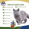 Kaniva Indoor Formula Cat Food Chicken, Salmon & Rice for All Ages (2.8kg) - image 2
