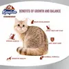 Kaniva Cat Food Growth & Balance Chicken, Egg & Rice for All Ages (2.8kg) - image 3