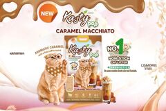 Kasty Pop Tofu Cat Litter – Caramel Machiato 6L