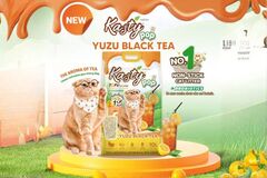 Kasty Pop Tofu Cat Litter – Yuzu Black Tea 6L