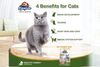 Kaniva Pouch Indoor Tuna with Chicken In Gravy for All Ages  70g - image 3