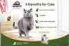 Kaniva Pouch Indoor Tuna & Chicken In Soft Jelly for All Ages 70g - image 3